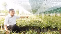 Huyện Hướng Hóa vẫn chưa bàn giao đất cho chủ đầu tư