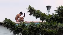 Họa… ngáo đá!