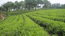 Nhiều tỷ đồng tài sản công đang bị sử dụng lãng phí?