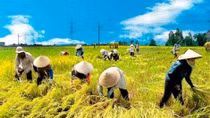Đồng bằng Bắc Bộ có thể bị sụt lún nghiêm trọng