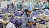 Đề nghị phê chuẩn TPP trong thời gian sớm nhất