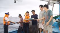 Những trái tim của biển