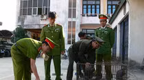 Bóc gỡ đường dây mua bán động vật hoang dã xuyên quốc gia