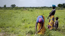 Thị trấn "không có đàn ông" ở Burkina Faso