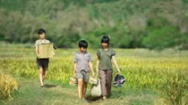 Một năm khởi sắc của điện ảnh Việt