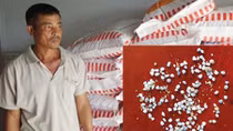 Người chăn nuôi khóc ròng vì cám trộn... bột đá