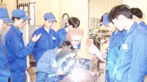 Phấn đấu giải quyết việc làm cho 7,5 đến 8 triệu người
