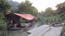 Một cán bộ xã bắt tay với “lâm tặc” 