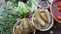Chất kịch độc trong dưa cải, măng tươi ở Đà Nẵng 