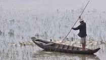 Giải pháp chống hạn, mặn tại ĐBSCL: Nên khôi phục hai túi chứa nước tự nhiên