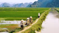 Tổ chức cuộc thi viết về đề tài “Nông dân và hợp tác”