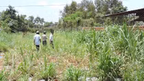 Phát hiện thi thể người đàn ông chết bí ẩn trong bụi cỏ