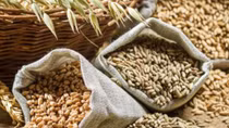 Thổ Nhĩ Kỳ lo ngại việc Nga trừng phạt kinh tế 