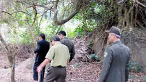 Tạm đình chỉ 5 Kiểm lâm để "kiểm điểm" vụ rừng Sơn Trà