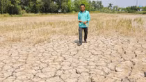 Kỳ cuối: Cần giải pháp lâu dài