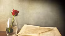 Lại đây em hỏi thử đôi câu