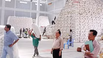 Gạo Campuchia đang hút hàng tại vựa lúa miền Tây