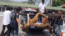Interpol: Điều phối chiến dịch chống buôn bán trái phép động vật hoang dã ở châu Á