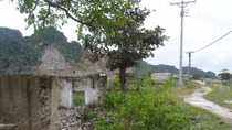 Ngày mới trên vùng đất chết