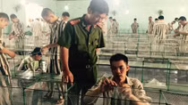 Đếm ngược thời gian mong ngày về