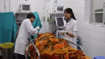 TNGT dịp Tết dương lịch chủ yếu do rượu bia