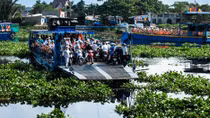 Khốn khổ vì lục bình dày đặc sông rạch