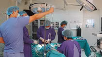 Tỉ lệ mắc và tử vong do ung thư cổ tử cung ở Việt Nam rất cao