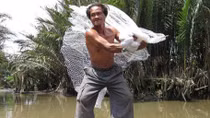 40 năm 'cướp thức ăn' của Hà Bá trên sông Sài Gòn