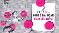 Sẽ công khai các quyết định giám đốc thẩm, tái thẩm