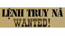 Bắt giữ đối tượng trộm cắp mang 2 lệnh truy nã