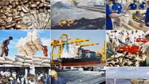 Chưa cắt 10% chi thường xuyên 8 tháng cuối năm