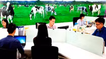 Vinamilk đứng thứ 2 trong Top 100 nơi làm việc tốt nhất Việt Nam