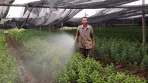 Vượt qua bóng tối lầm lỗi, trở thành triệu phú 