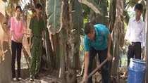 Tiêu hủy sản phẩm có chứa hàn the