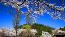 Hàn Quốc miễn phí visa cho du khách Việt Nam từ 6/7 đến 30/9/2015