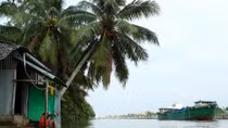 Sự lan tỏa của một phong trào