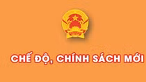 Nhiều chính sách mới có hiệu lực cuối tháng 2/2015