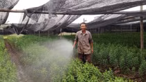 Vượt qua bóng tối lầm lỗi, trở thành triệu phú 