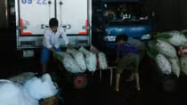  Bài 1: Mưu sinh sau 0 giờ
