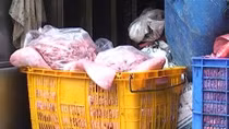 Nội tạng, thịt bò ‘bốc mùi’ chuẩn bị về quê tiêu thụ
