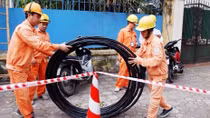 Vẫn băn khoăn về tính minh bạch của EVN