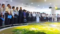 Công bố quy hoạch vành đai xanh, nêm xanh ở phía Bắc sông Hồng