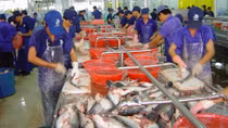 Phấn đấu tăng trưởng 6,5% trong năm 2016