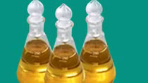 DHA được tổng hợp ra sao?