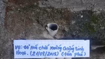 Lời thú tội rợn người của nữ dược sỹ đổ thuốc sâu đầu độc một gia đình