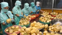 Đầu tư chế biến rau quả Việt để “vào” các thị trường khó tính
