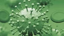Trường hợp nhiễm cúm A(H9N2) trên người đầu tiên tại Ai Cập