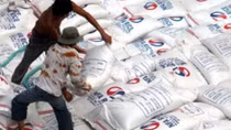 Giá gạo có thể tăng 10% trong những tháng cuối năm 2015