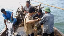 Cùng ngư dân mở cửa biển đầu năm