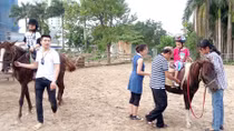 Khi trẻ tự kỷ cưỡi ngựa